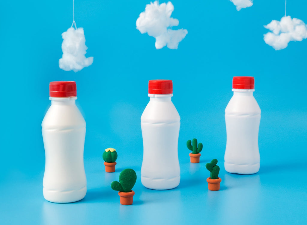 How to help the environment: 20 Small but Impactful Changes