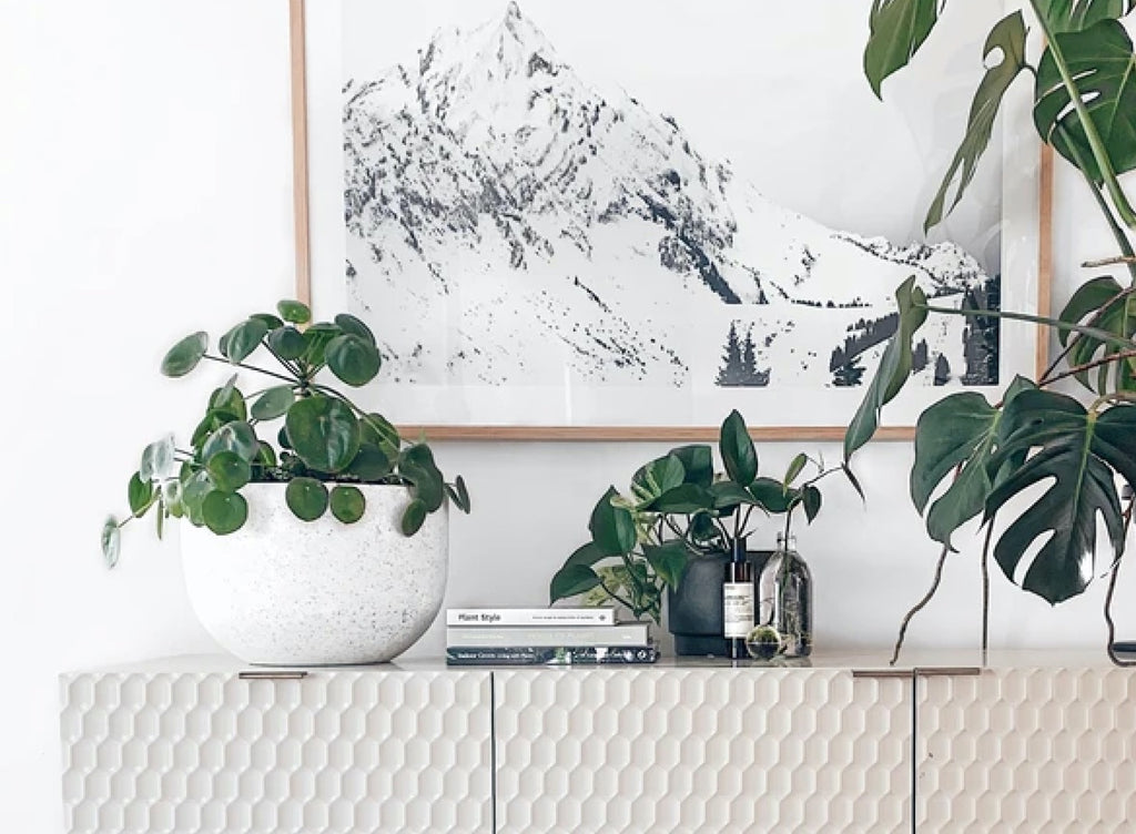 10 Creative Ways to Include Plants Into Your Home