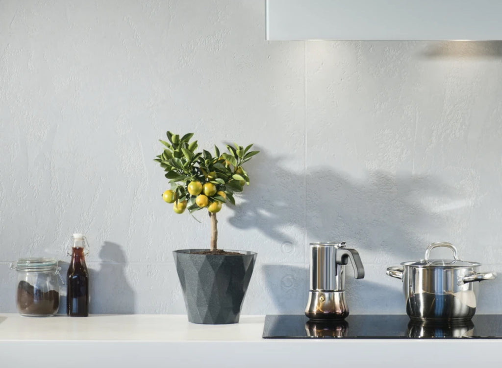 Sustainable home: 10 Ways to Make Your Kitchen Greener
