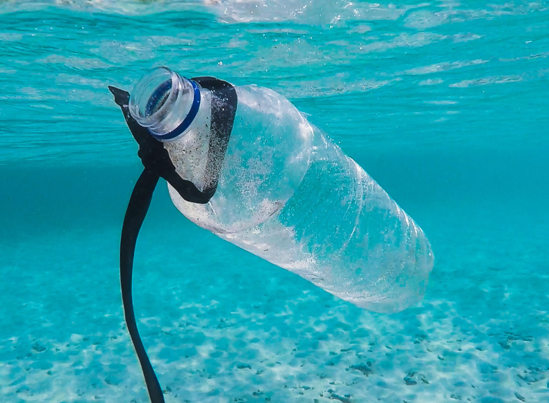 The Truth About Recycling